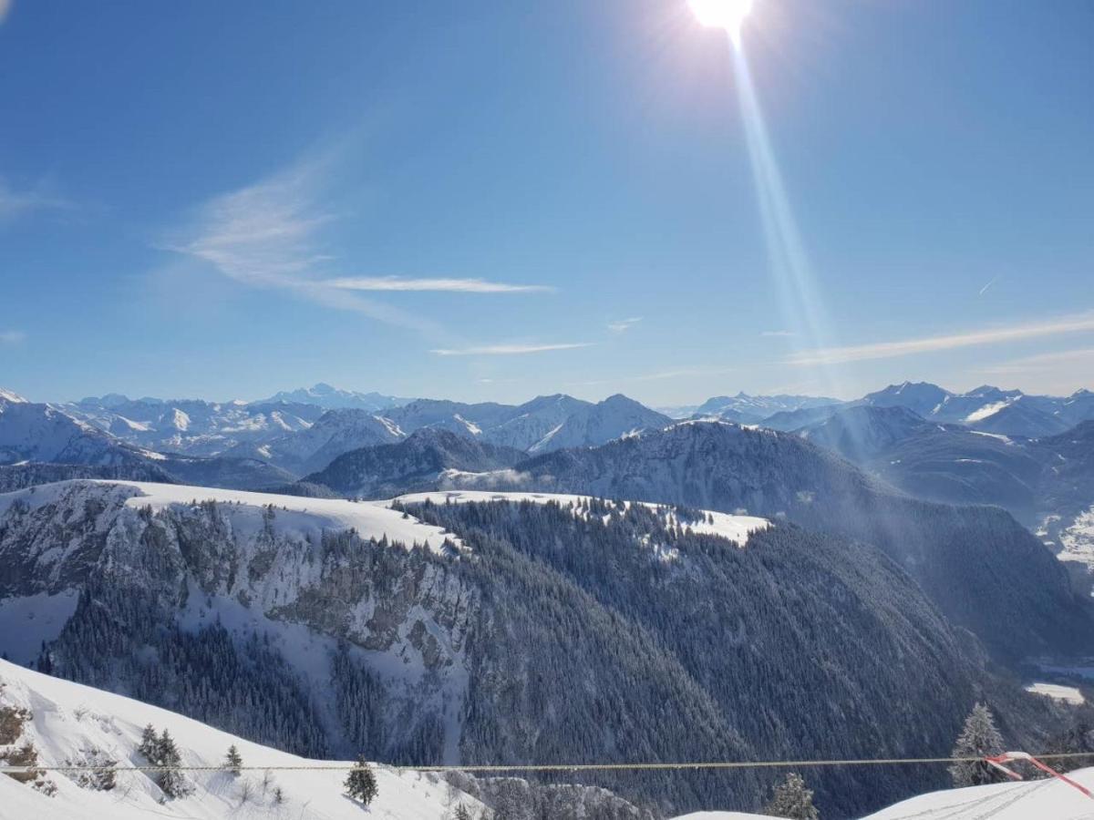 Le 67,ski et randonnée,lave linge,sèche linge,parking Bernex Exterior foto