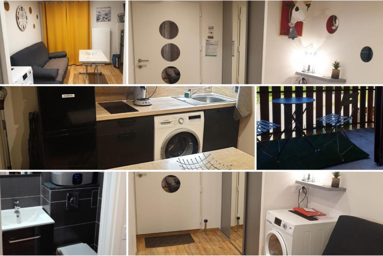 Le 67,ski et randonnée,lave linge,sèche linge,parking Bernex Exterior foto