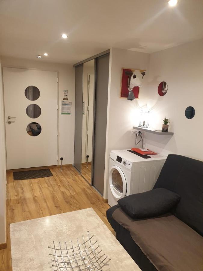 Le 67,ski et randonnée,lave linge,sèche linge,parking Bernex Exterior foto