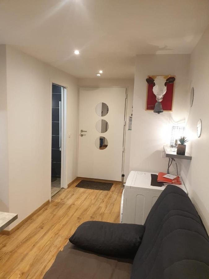 Le 67,ski et randonnée,lave linge,sèche linge,parking Bernex Exterior foto